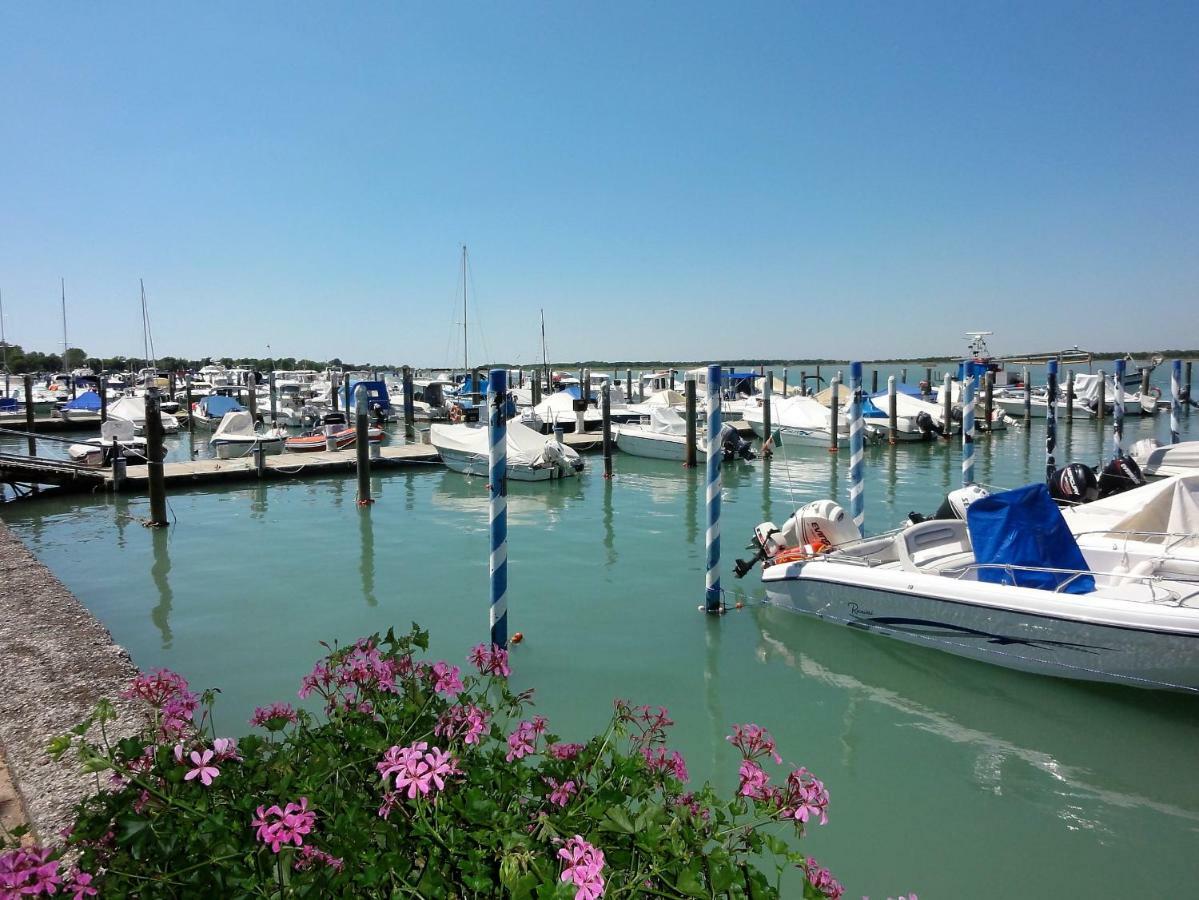 Gabbiano -