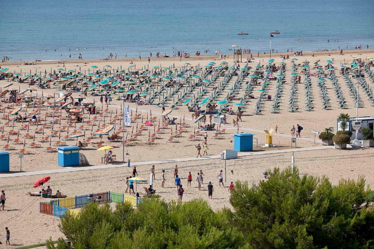 Gabbiano - * Bibione